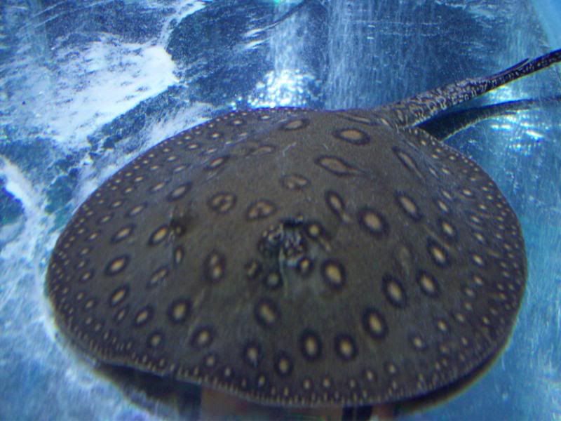 100_2905.jpg