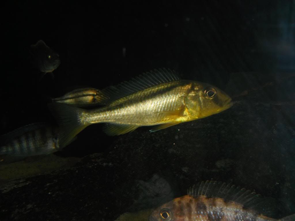 021_zps88301a06.jpg