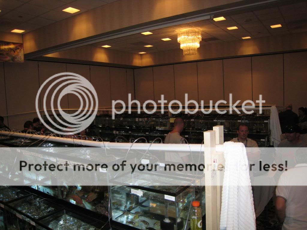 IMG_9485.jpg