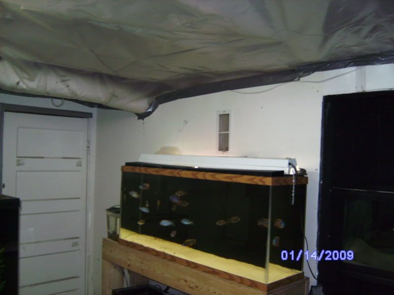 SANY0786.jpg