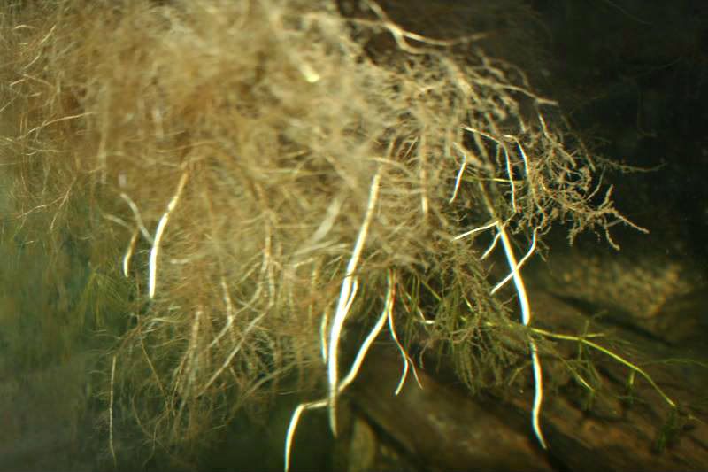 054.jpg