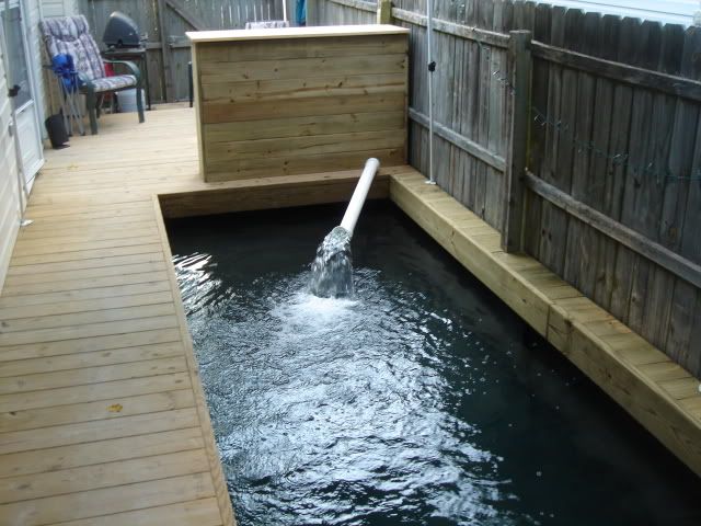 DSC05140.jpg