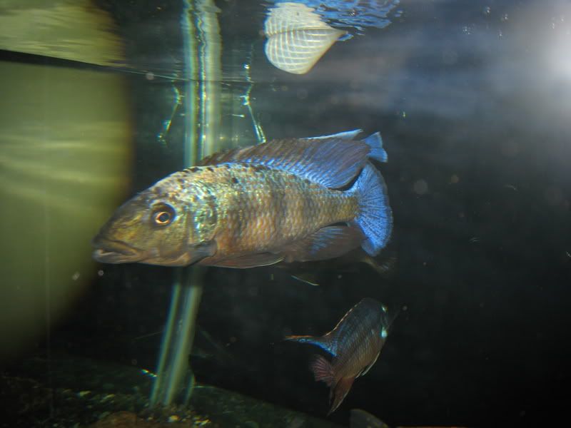 IMG_4795.jpg