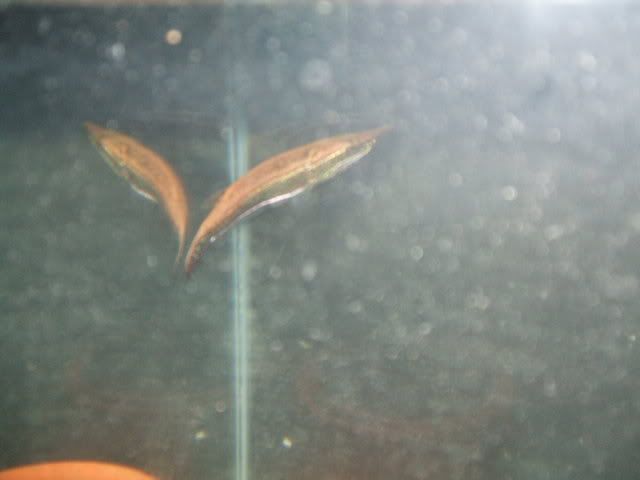 DSCF2426.jpg