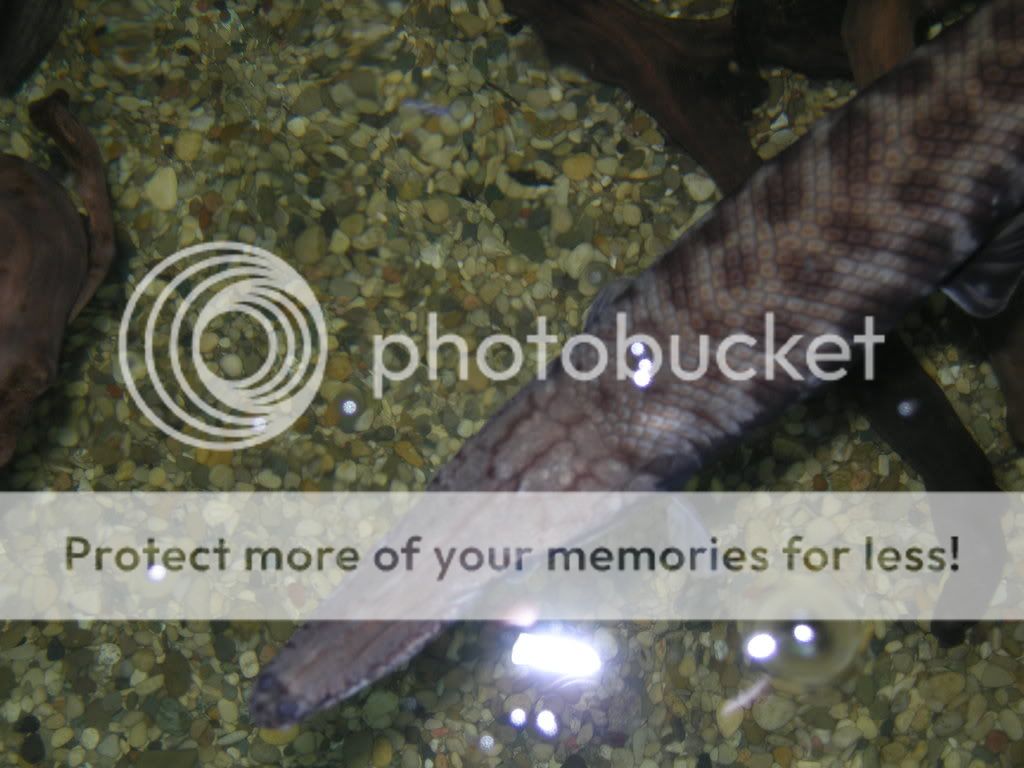 DSCN5573.jpg