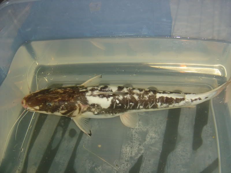 5-6-08008.jpg