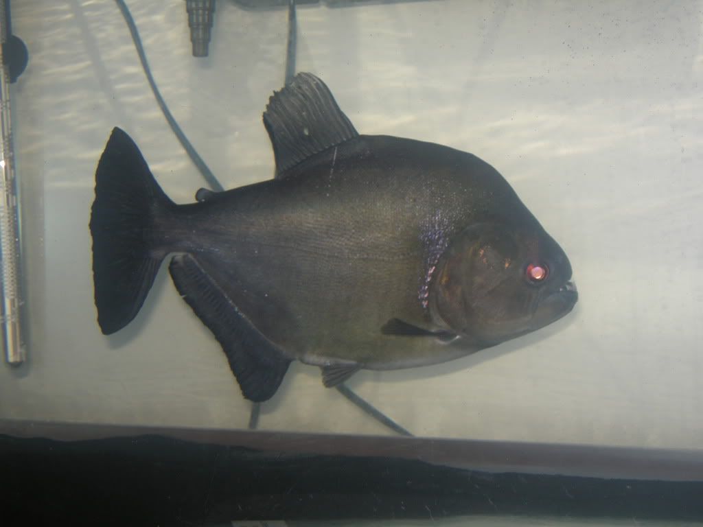 DSCN3238.jpg