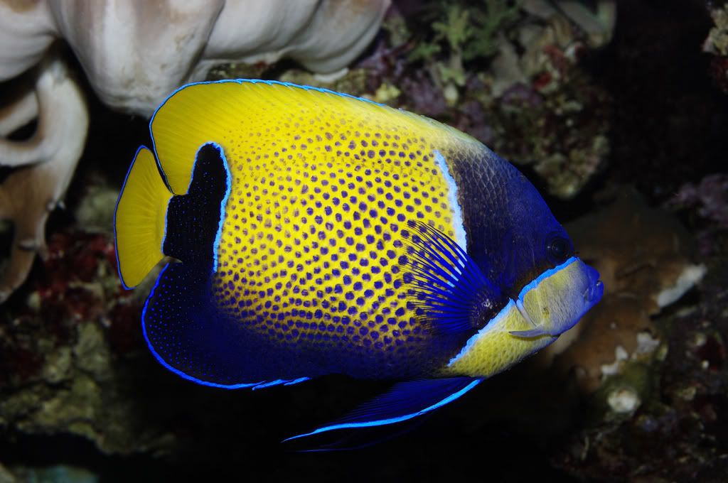 IGP3328.jpg