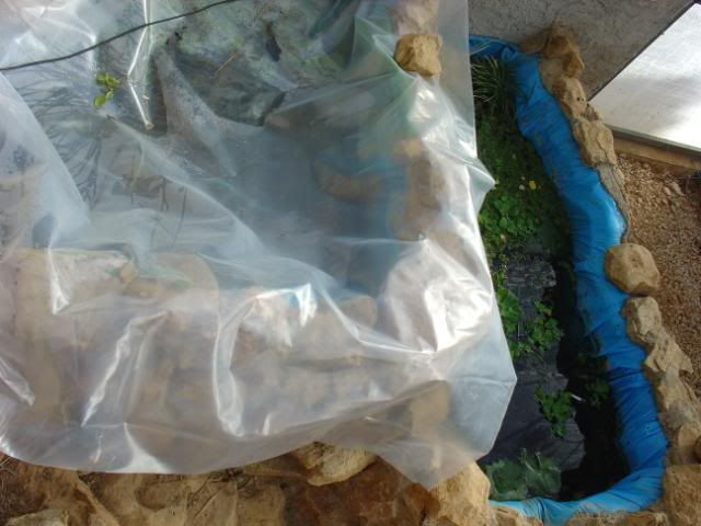 DSC09163.jpg