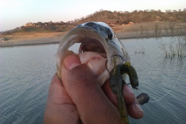 IMAG0505.jpg