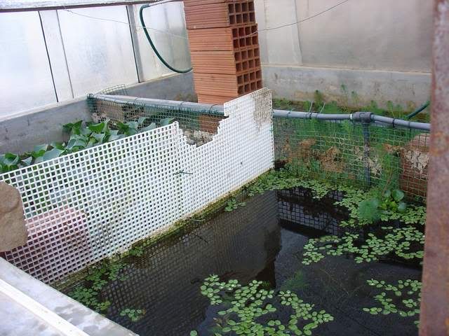 DSC05343.jpg