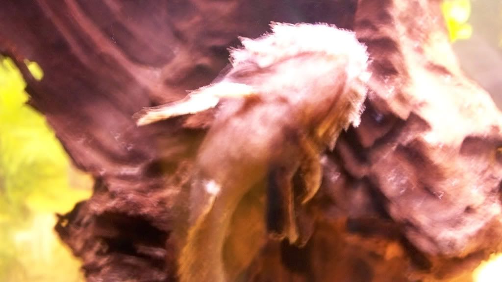 100_0913.jpg