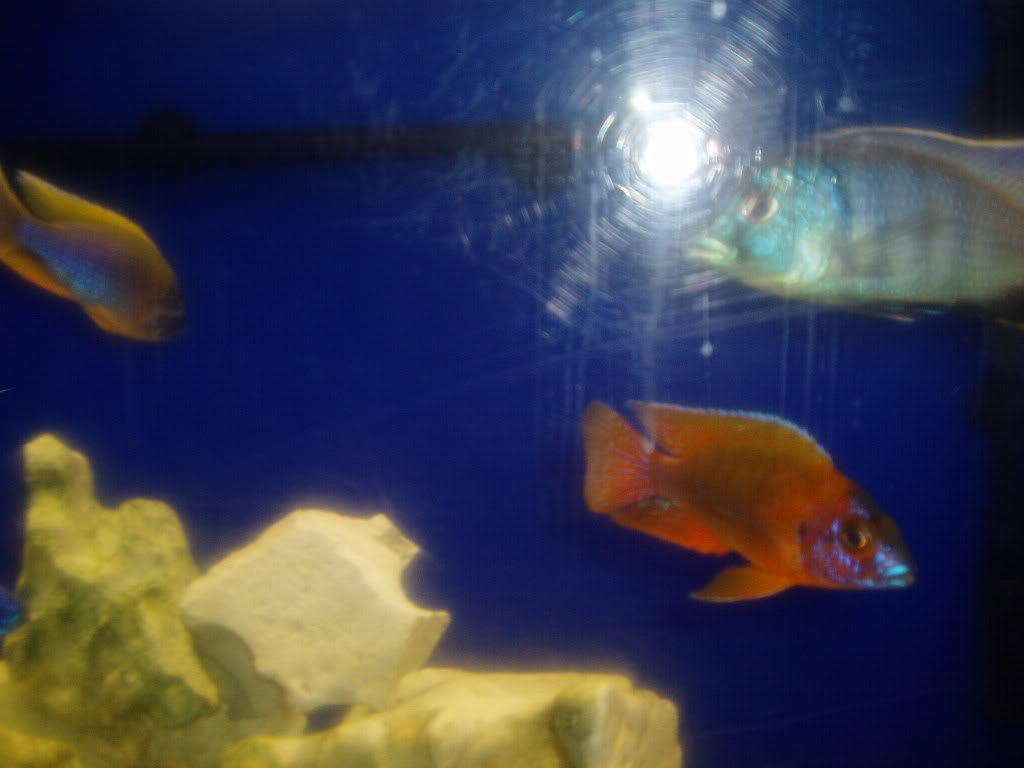 100G006.jpg