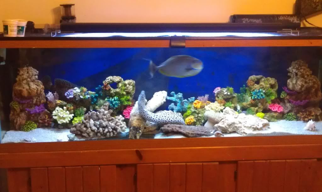 IMAG0565.jpg