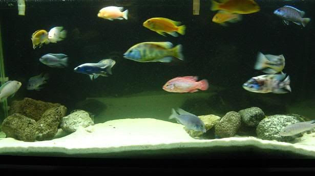 IMG-6233.jpg