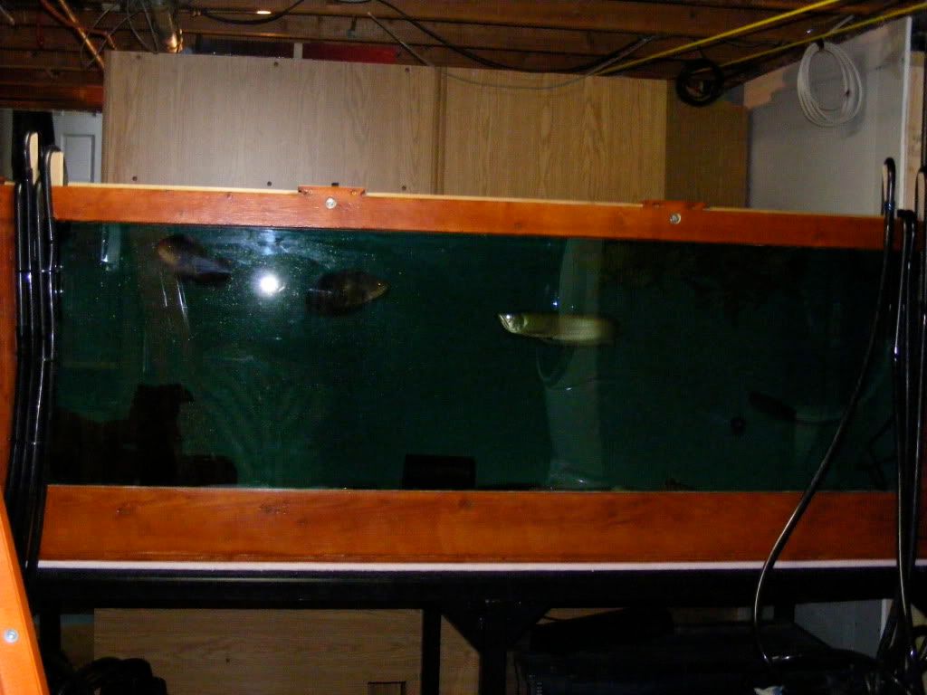 DSCF2687.jpg
