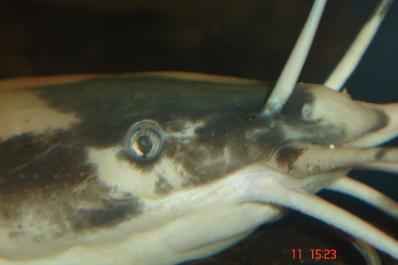 DSC00491.jpg
