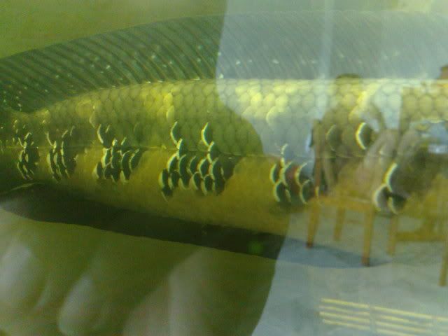 041020101010.jpg