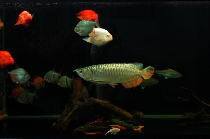 image07.jpg