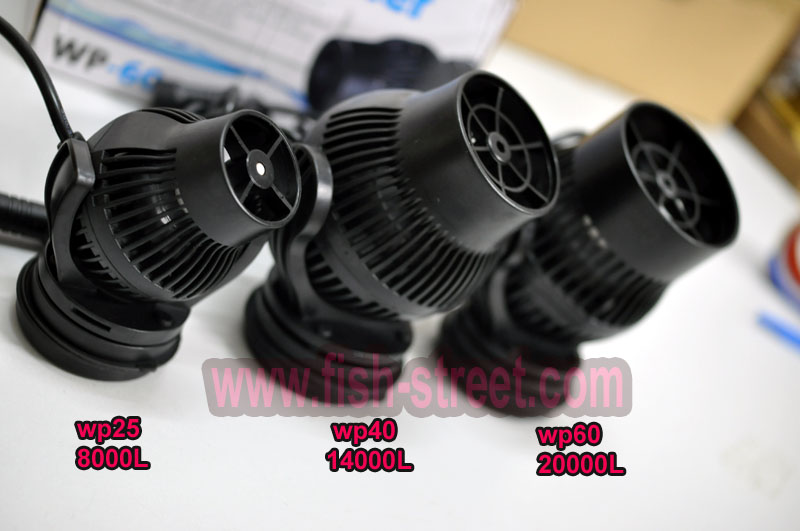 wp60_compare2.jpg