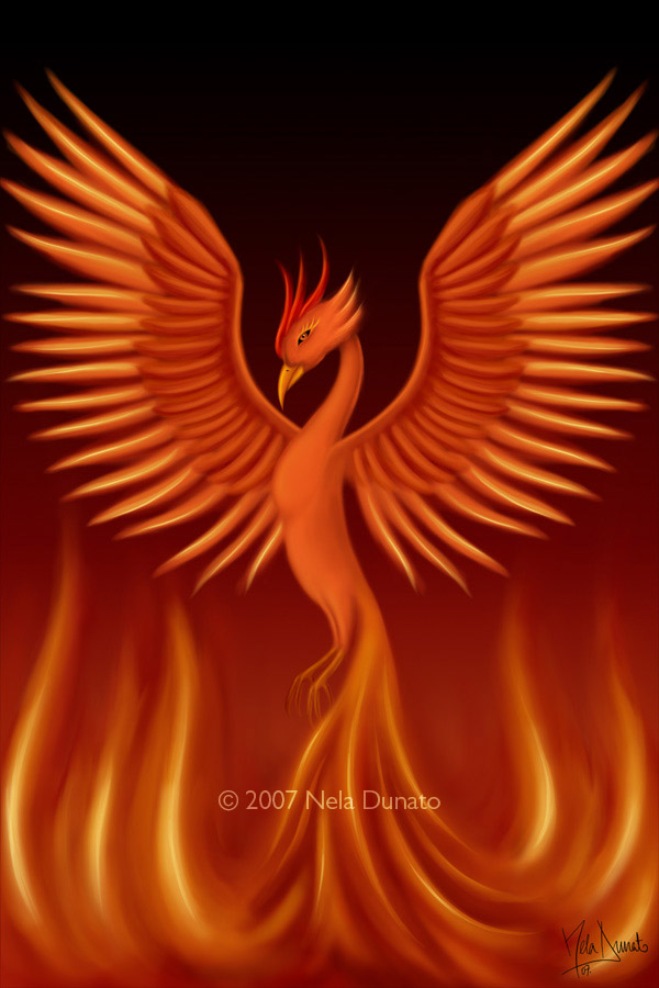 phoenix.jpg