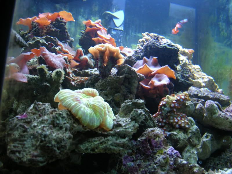 DSCN7170.jpg
