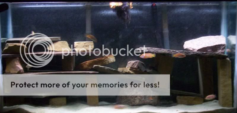 90gal02-1.jpg