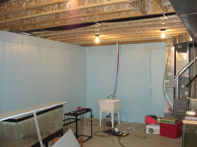 CopyofDSC01867.jpg