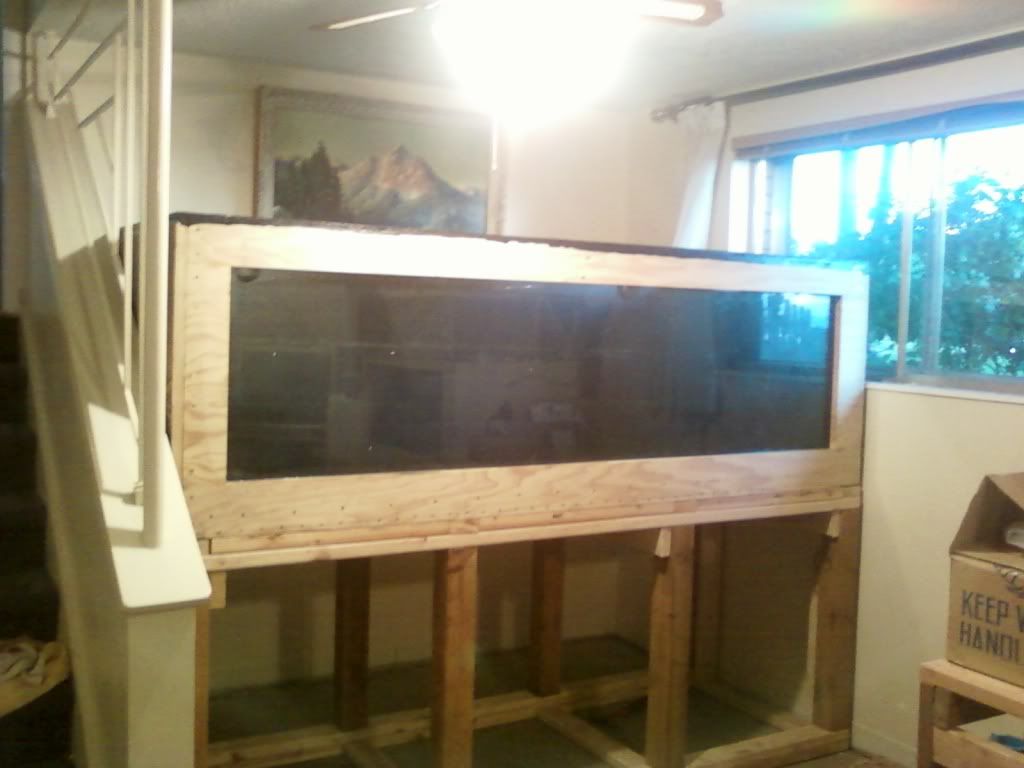 1Photo0288.jpg