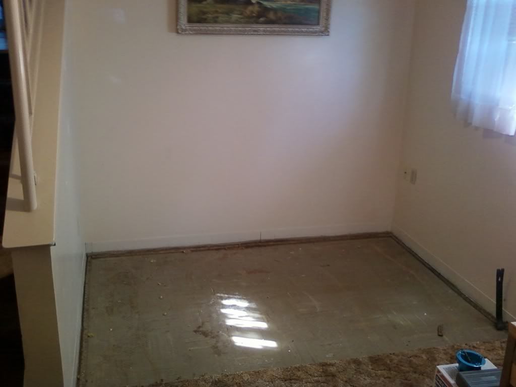 1Photo0286.jpg
