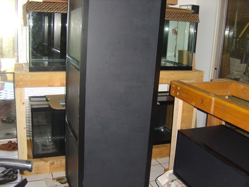 4-19-08005.jpg