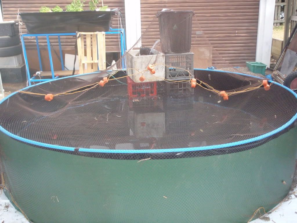 PA040063.jpg