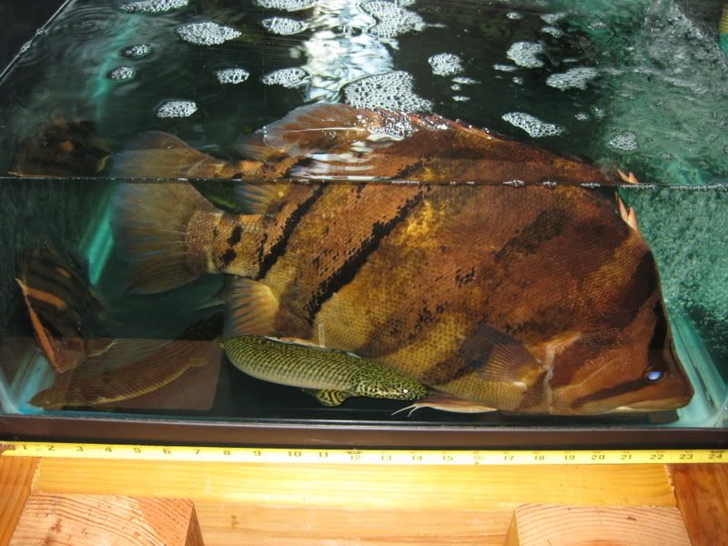 1-30-09014.jpg