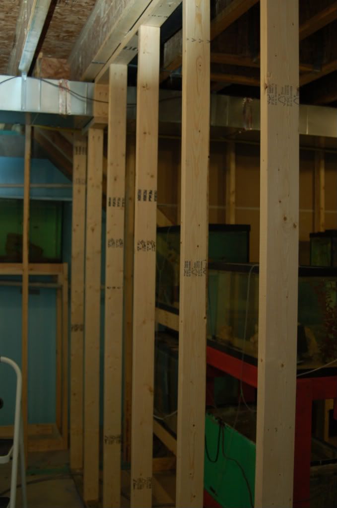 DSC_0185.jpg