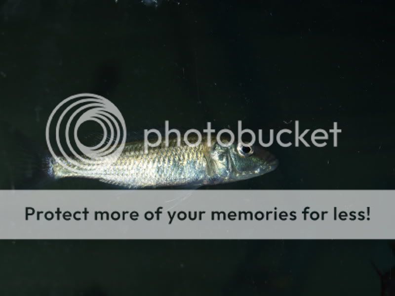PB112251.jpg