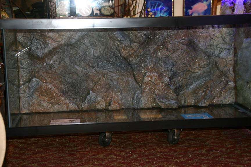 mOWyQp.jpg