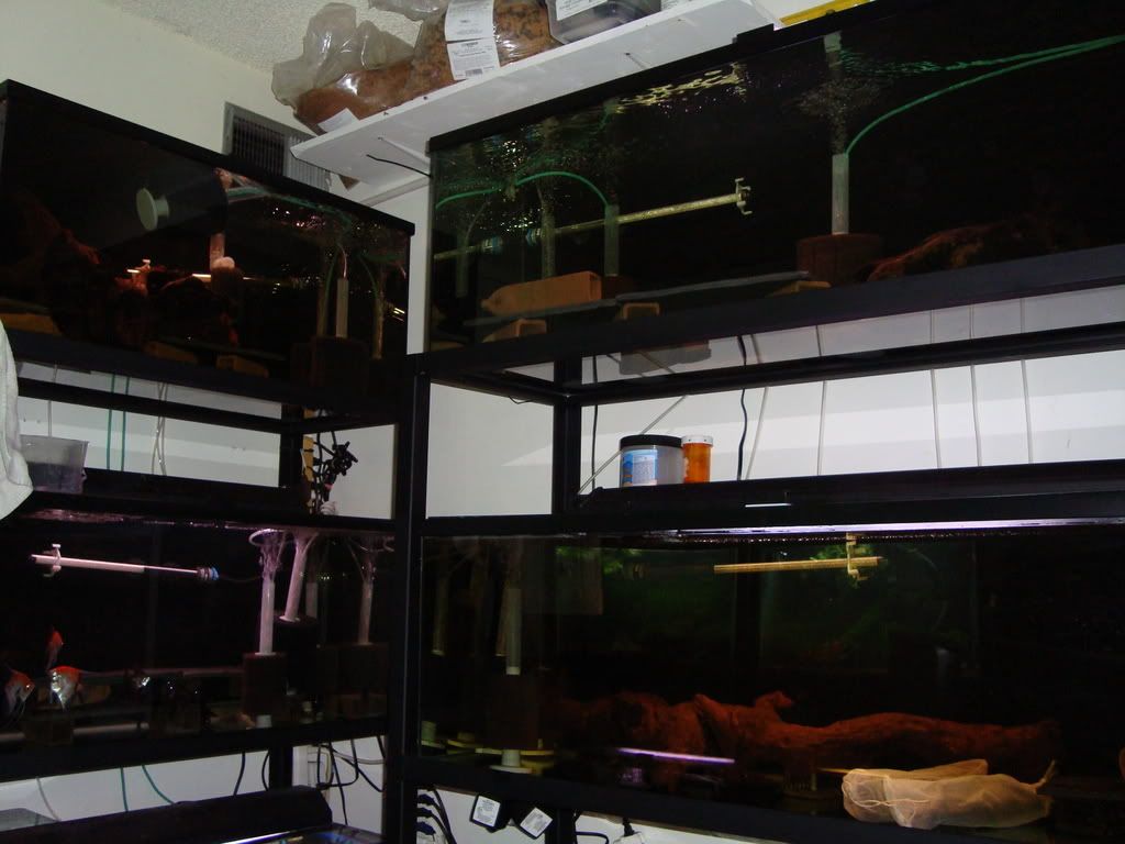 DSC00430.jpg