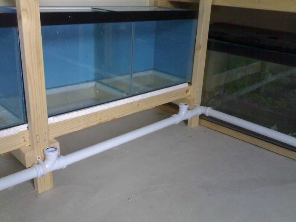 20102007513.jpg