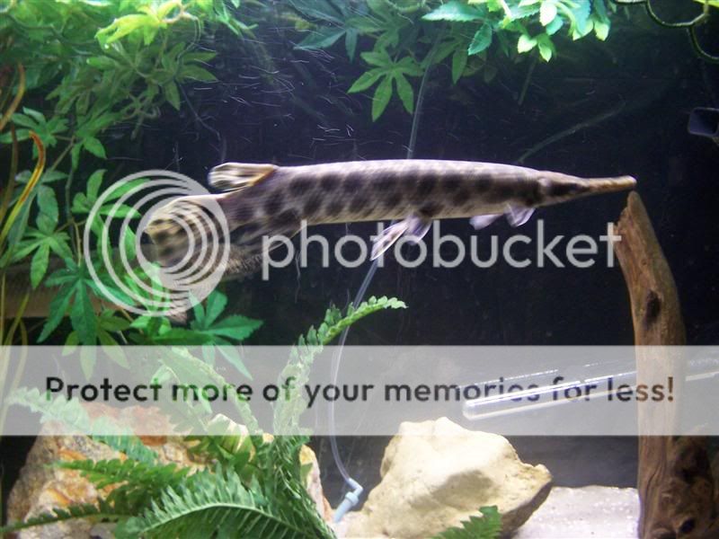 100_8774Medium.jpg