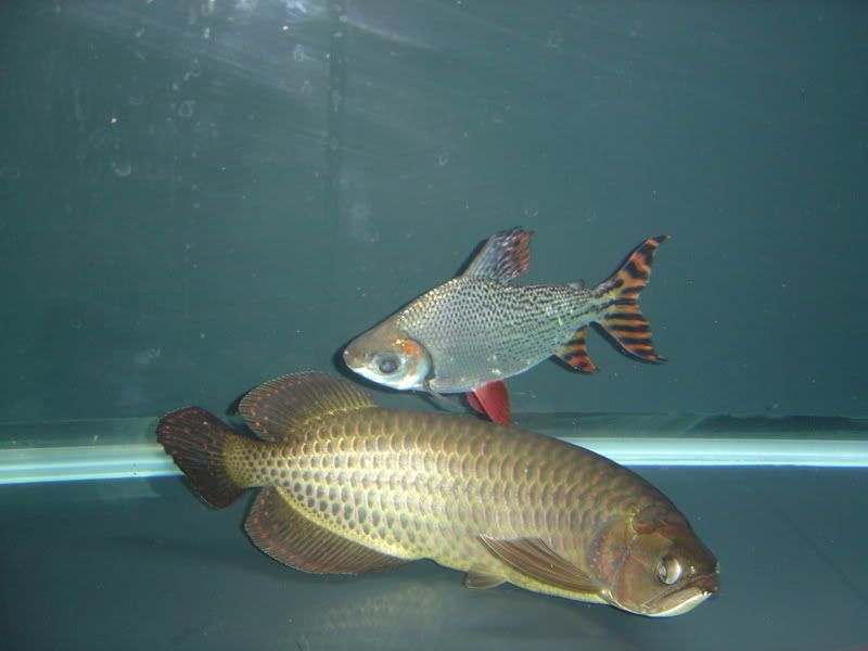 9-22-08032.jpg
