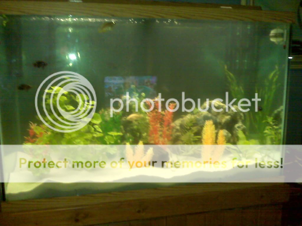 IMG00041-20101026-2043.jpg