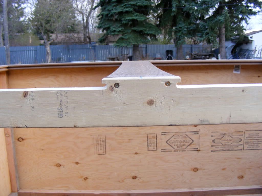DSCF2237.jpg