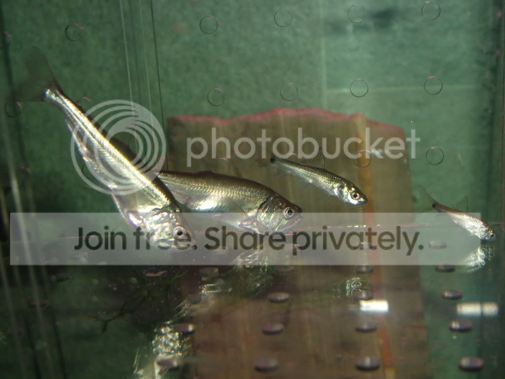 DSCF4922.jpg