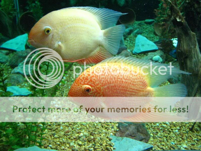 IMG_1806.jpg