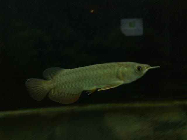 231220071056.jpg