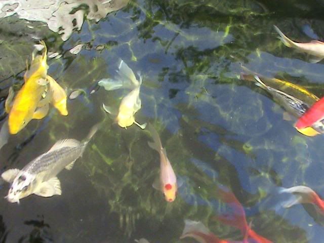 DSC02652.jpg