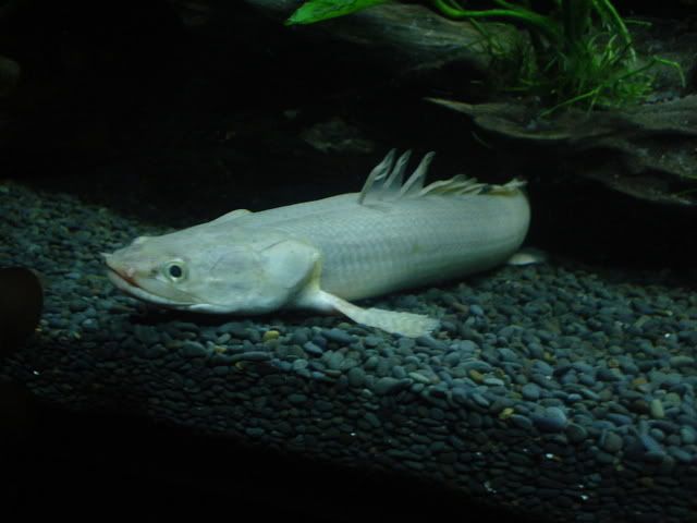 DSC00810.jpg