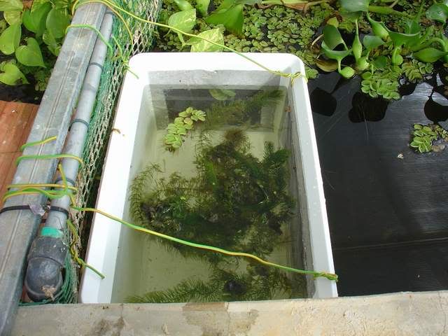 DSC06234.jpg