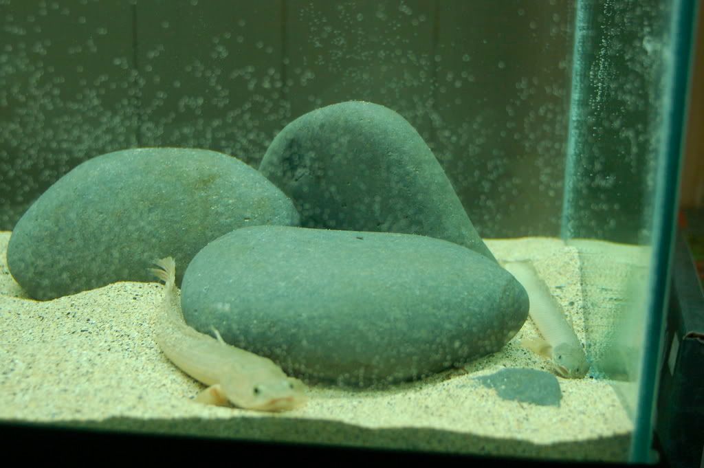 DSC_0116.jpg