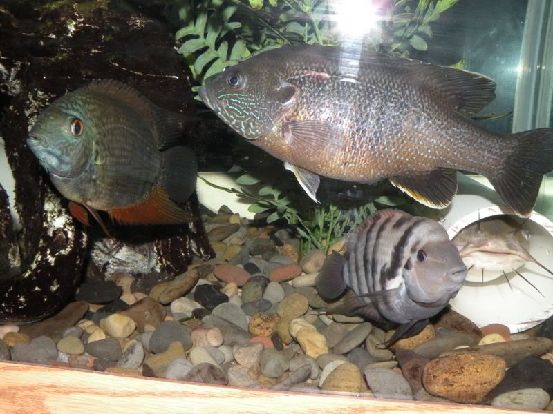 DSCN4326.jpg